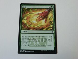 MTG 美品 【耕作】 （コモン） A25 日 1枚迄