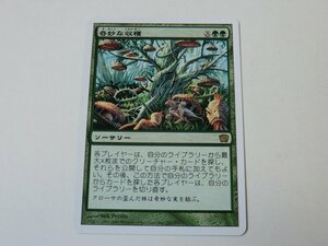 MTG 美品 【奇妙な収穫】 （レア） 9ED 日 2枚迄