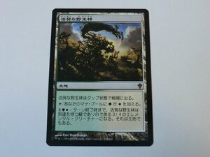 MTG 美品 【活発な野生林】 （レア） WWK 日 1枚迄