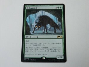 MTG 美品 【夜群れの伏兵】 （レア） M20 日 9枚迄