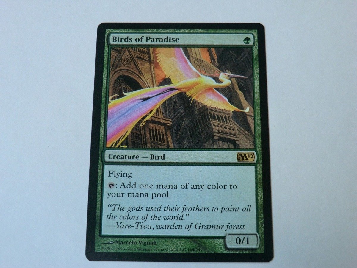 ネット限定】 専用 MTG 各種極楽鳥1枚ずつ、楽園の拡散1枚ずつ ネット限定】 専用 MTG 各種極楽鳥1枚ずつ、楽園の拡散1枚ずつ