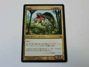 MTG 美品 【神祖】 （神話レア） ALA 日 1枚迄