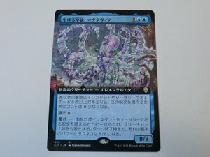 MTG 美品 【生ける卒論、オクタヴィア（拡張アート）】 （レア） C21 日 3枚迄