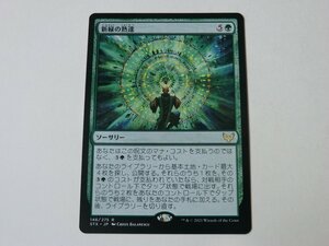 MTG 美品 【新緑の熟達】 （レア） STX 日 7枚迄