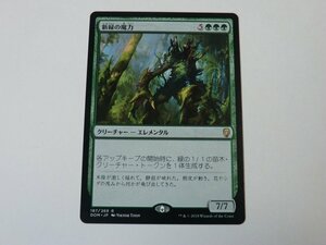 MTG 美品 【新緑の魔力】 （レア） DOM 日 7枚迄