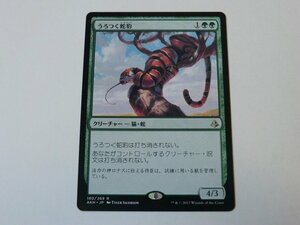 MTG 美品 【うろつく蛇豹】 （レア） AKH 日 6枚迄