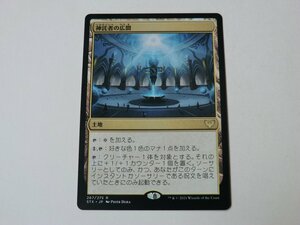 MTG 美品 【神託者の広間】 （レア） STX 日 9枚迄