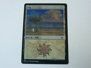 MTG 美品 【平地（481 エッチングFOIL）】 （コモン） MH2 日 16枚迄