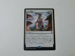 MTG 美品 【次元の激高】 （レア） BFZ 日 5枚迄