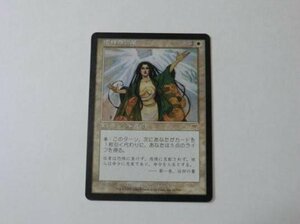 MTG 美品 【崇拝の言葉】 （レア） ONS 日 2枚迄