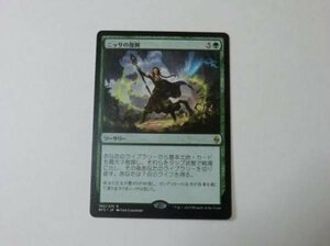 MTG 美品 【ニッサの復興】 （レア） BFZ 日 6枚迄