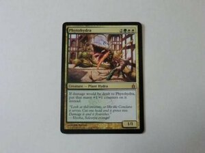 MTG 美品 【草ハイドラ】 （レア） RAV 英 7枚迄