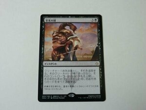 MTG 美品 【栄光の刻】 （レア） HOU 日 1枚迄