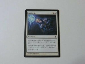 MTG 美品 【忘却の輪】 （コモン） ALA 日 8枚迄