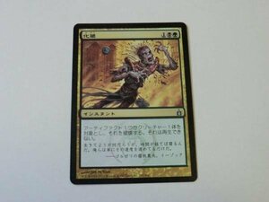 MTG 美品 【化膿】 （アンコモン） RAV 日 1枚迄