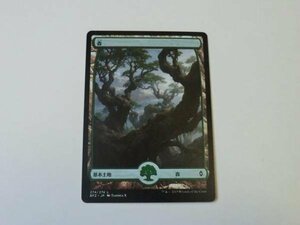 MTG 美品 【フルアートの森(274/274)】 （コモン） BFZ 日 46枚迄