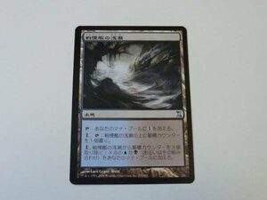 MTG 美品 【戦慄艦の浅瀬】 （アンコモン） TSP 日 1枚迄