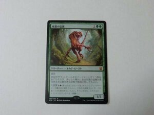 MTG 美品 【死霧の猛禽】 （神話レア） DTK 日 9枚迄