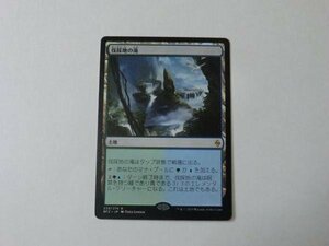 MTG 美品 【伐採地の滝】 （レア） BFZ 日 9枚迄