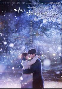 韓国ドラマ 【あなたが眠っている間に 】Blu-ray 版 全話日本語字幕