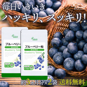 【リプサ公式】 ブルーベリー粒 約3か月分×2袋 T-704-2 サプリメント サプリ 健康食品 送料無料