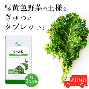 【リプサ公式】 ケール粒 約3か月分 T-620 サプリメント サプリ 健康食品 送料無料