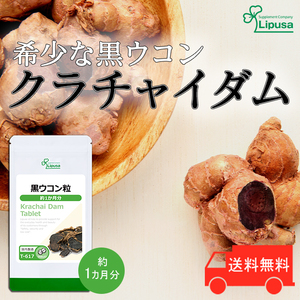 【リプサ公式】 黒ウコン粒 約1か月分 T-617 サプリメント サプリ 健康食品 送料無料