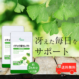 【リプサ公式】 イチョウ葉セレクト 約3か月分×2袋 C-509-2 サプリメント サプリ 健康食品 送料無料