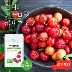 【リプサ公式】 アセロラ粒 約3か月分 T-715 サプリメント サプリ 健康食品 送料無料