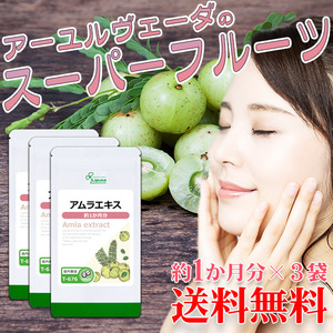 【リプサ公式】 アムラエキス 約1か月分×3袋 T-676-3 サプリメント サプリ 健康食品 美容 送料無料