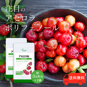 【リプサ公式】 アセロラ粒 約3か月分×2袋 T-715-2 サプリメント サプリ 健康食品 送料無料