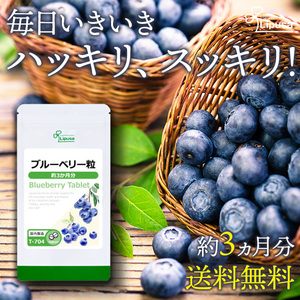 【リプサ公式】 ブルーベリー粒 約3か月分 T-704 サプリメント サプリ 健康食品 送料無料