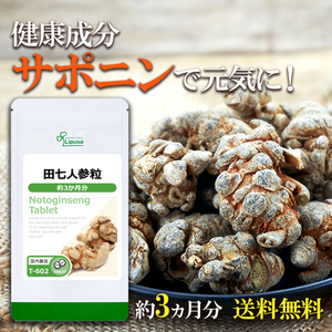 【リプサ公式】 田七人参粒 約3か月分 T-602 サプリメント サプリ 健康食品 送料無料