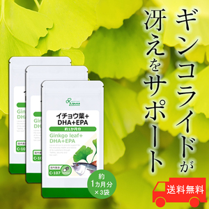 【リプサ公式】 イチョウ葉＋DHA＋EPA 約1か月分×3袋 C-107-3 サプリメント サプリ 健康食品 送料無料