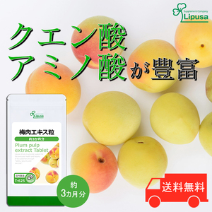 【リプサ公式】 梅肉エキス粒 約3か月分 T-625 サプリメント サプリ 健康食品 送料無料
