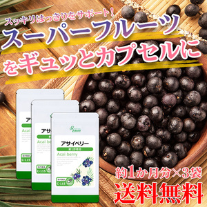 【リプサ公式】 アサイベリー 約1か月分×3袋 C-115-3 サプリメント サプリ 健康食品 送料無料