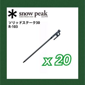 スノーピーク ペグ ソリッド ステーク 30 R-103 20本