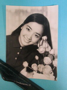 往年のアイドル★内藤洋子★生写真セット１９６０年代