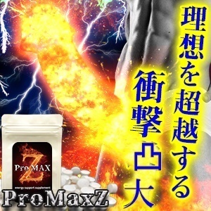 ■SALE!!■Pro MAX-Z(プロマックスゼット)～男性用サポートサプリ～賞味期限2022.01の為