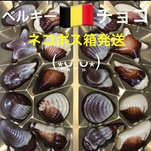【送料無料】 ベルギー産 チョコレート バレンタインチョコ ベルギーチョコ ヘーゼルナッツ クリーム ベルギー直輸入 お菓子詰め合わせ