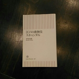 江戸の歌舞伎スキャンダル☆時代 傾奇者 文化 精神 役者 舞台 粋 歴史 芸能 伝統 風俗 世相 風流 風雅 風情 遊興