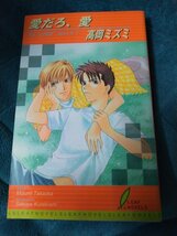 ☆高岡ミズミ　愛だろ、愛　新書_画像1