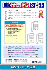 NTT EPH-G TEL用 示名条片作成シート 1000台分セット 【 LS-HT03-1000 】