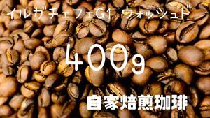 自家焙煎 イルガチェフェG1 ウォッシュド 珈琲豆 コーヒー豆 【豆or粉】400g スペシャリティコーヒー エチオピア