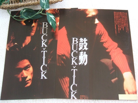 年最新ヤフオク!  buck tickバクチク櫻井敦司の中古品・新品・未