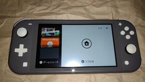動作確認済み ニンテンドースイッチライト グレー lite Nintendo Switch ニンテンドースイッチ 本体 2446