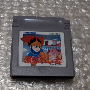 ゲームボーイソフト