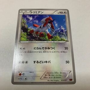 中古　ポケモンカード トリミアン　010/021 XY A illus.5ban Graphics たね