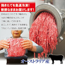 豪州産牛ひき肉500ｇ冷凍 オーストラリア産 パラパラミンチではありません格安【ひきにく】【挽き肉】【挽肉】_画像2
