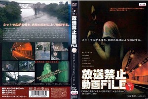 ★DVD/放送禁止動画 FILE Vol.3 深夜の廃トンネルで何が起こったのか 美品 検)日本映画/ホラー/恐怖映像/心霊スポット